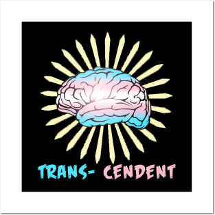 Trans-cendent Posters and Art